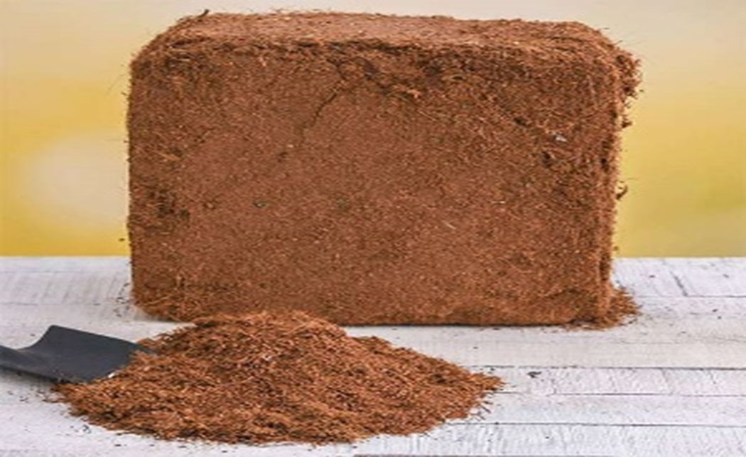 Coco Coir, Natural Compost, Organic Coconut Fibre-4