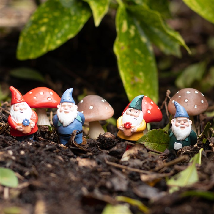 Gnome figurines with colorful hats and red mushroom caps on a natural background
