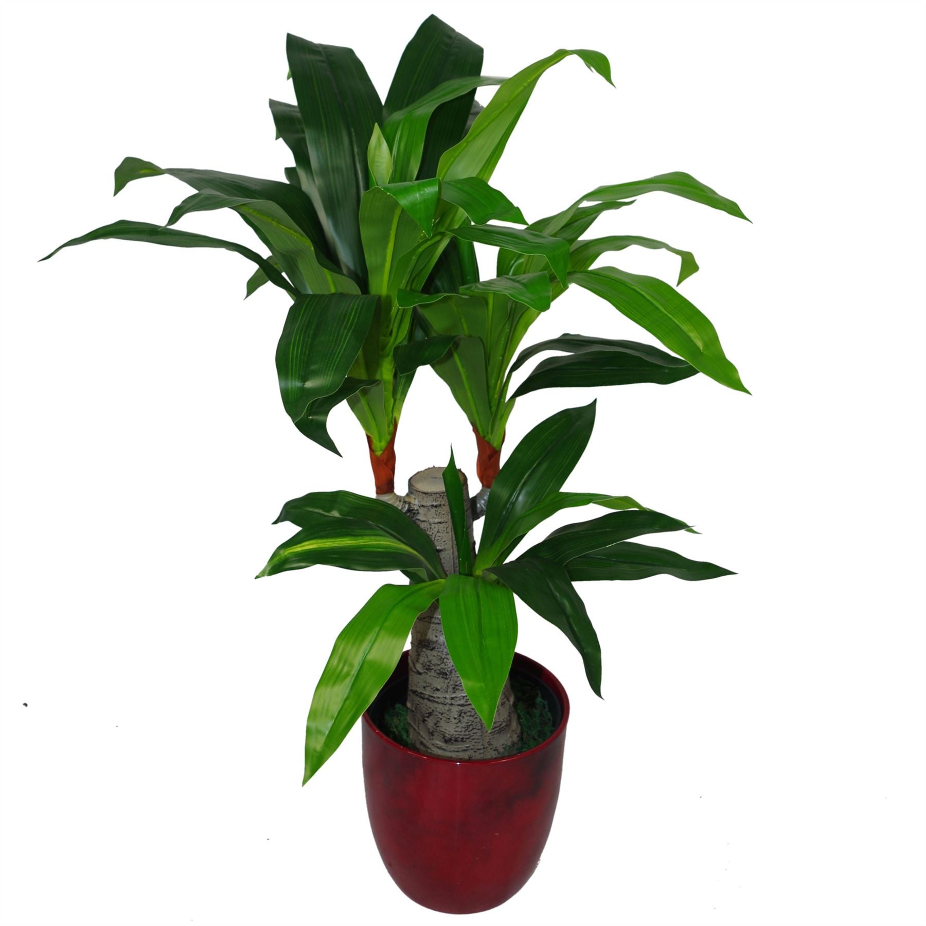 Tropical Artificial Plants Spiky Dracaena 75cm House Plant-1