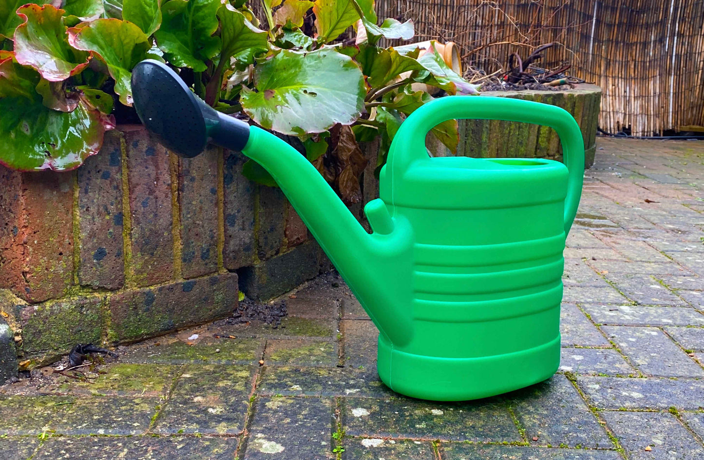 Garden Watering Can 10 Litres-0