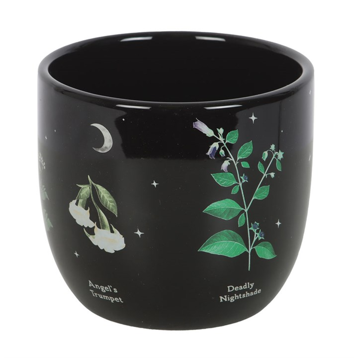 Poisonous Plants Plant Pot