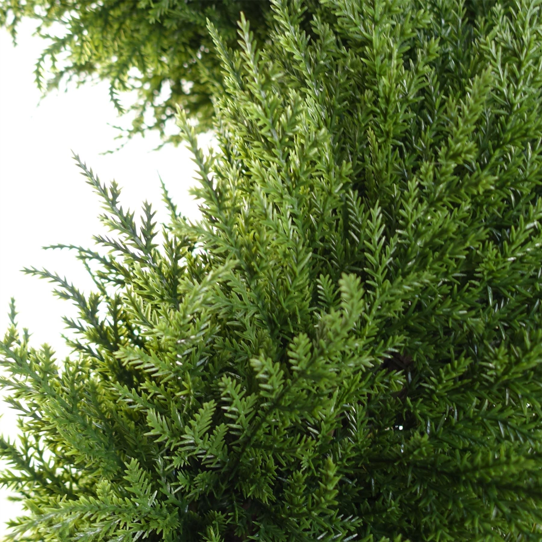 Leaf 120cm Sprial Cypress Tree Artificial-2