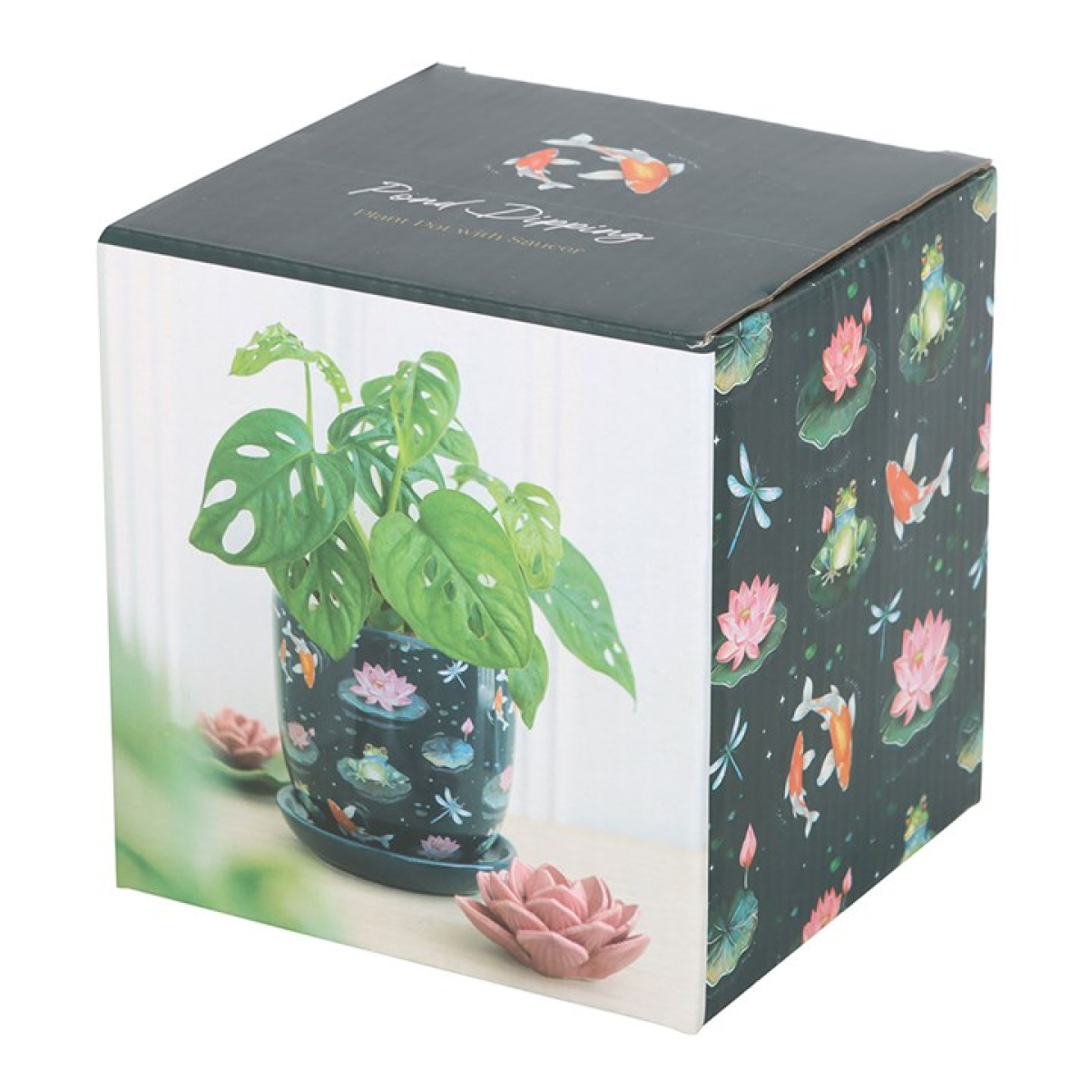Box packaging with a potted plant design on a white background