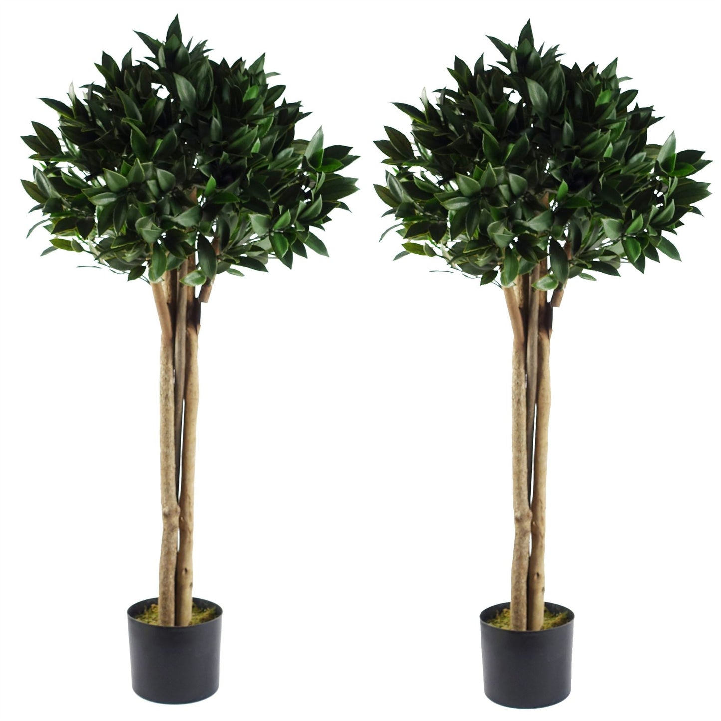 Leaf 120cm Bay Tree Laurel UV Resistant Outdoor-0