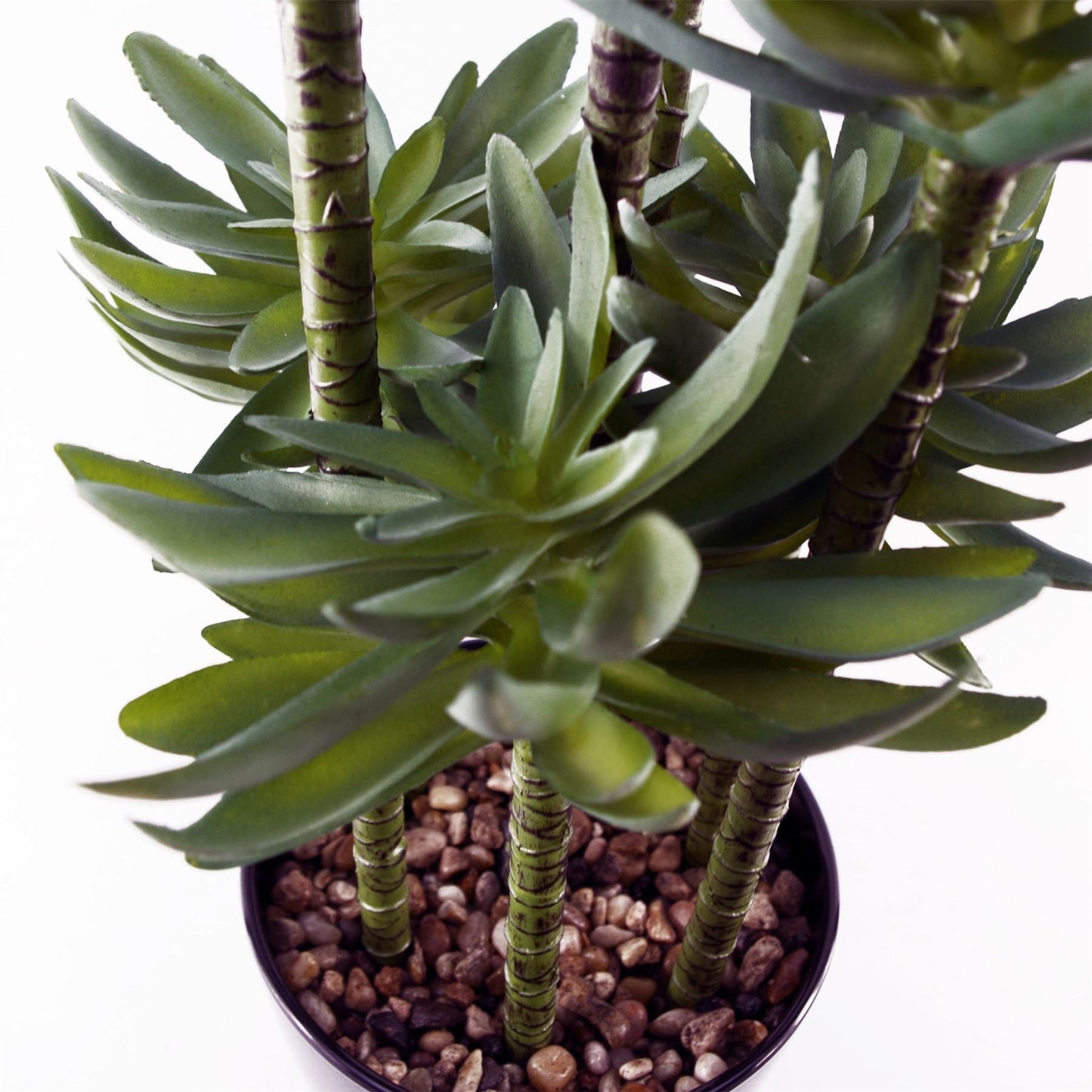 Large Artificial Tropical Yukka in Planter-2