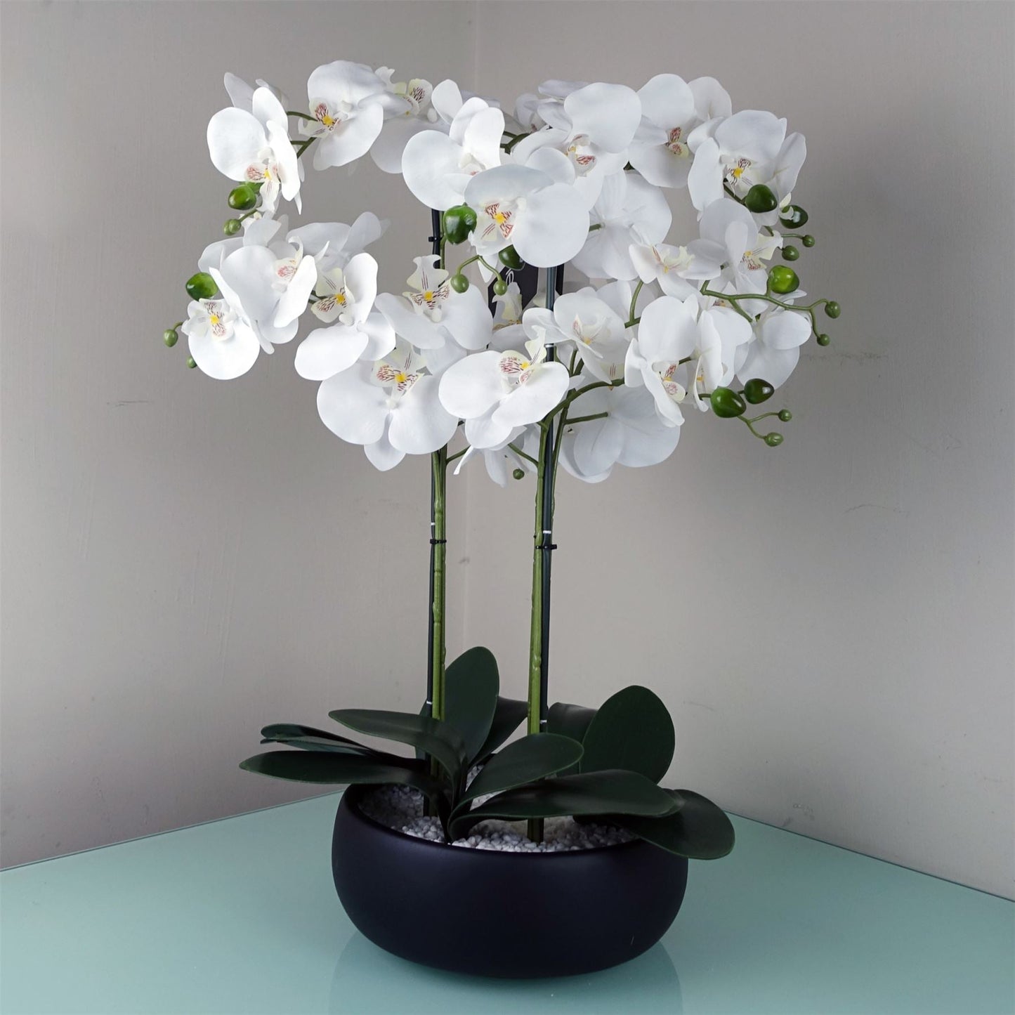 Orchid White - Black Ceramic Planter-0