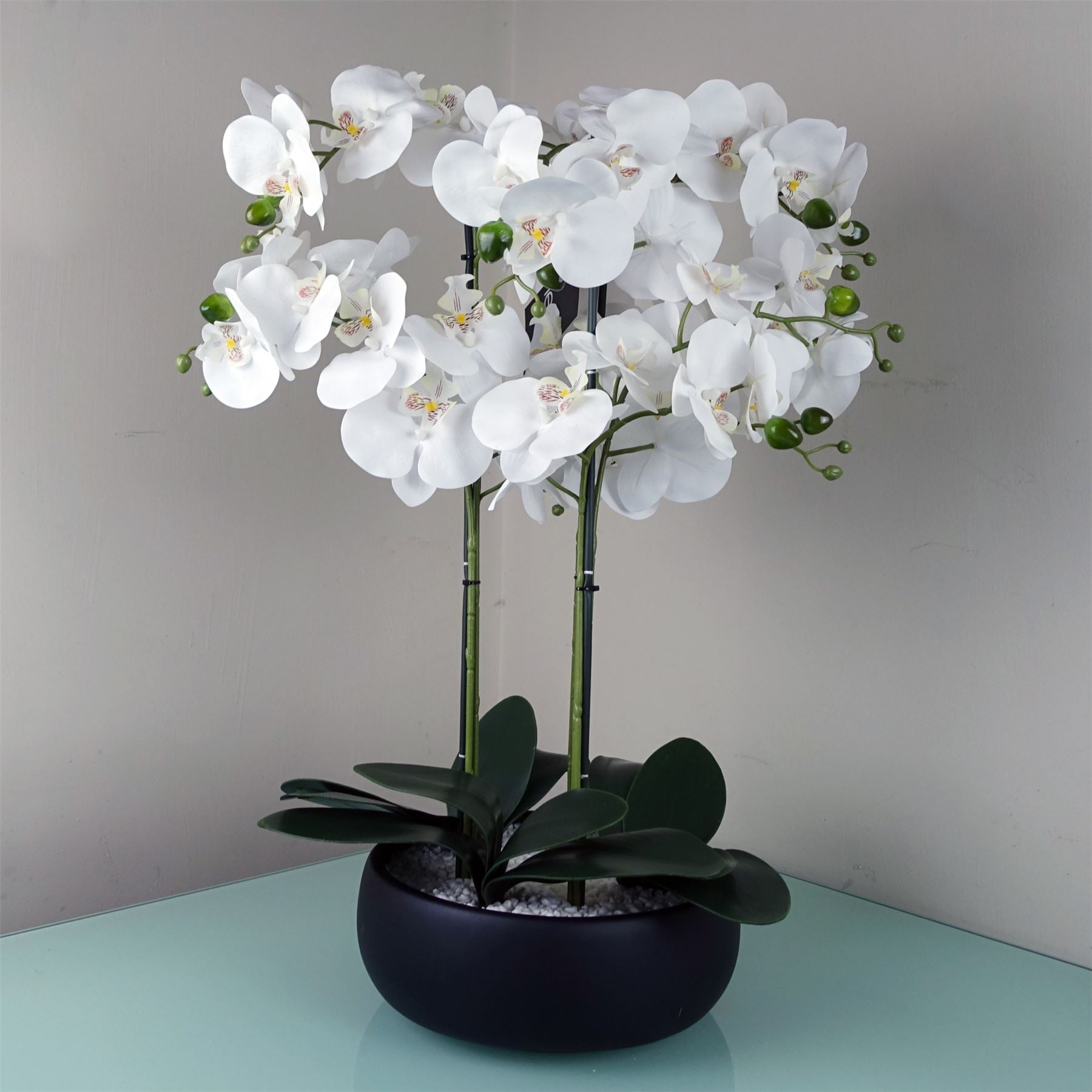 Orchid White - Black Ceramic Planter-0