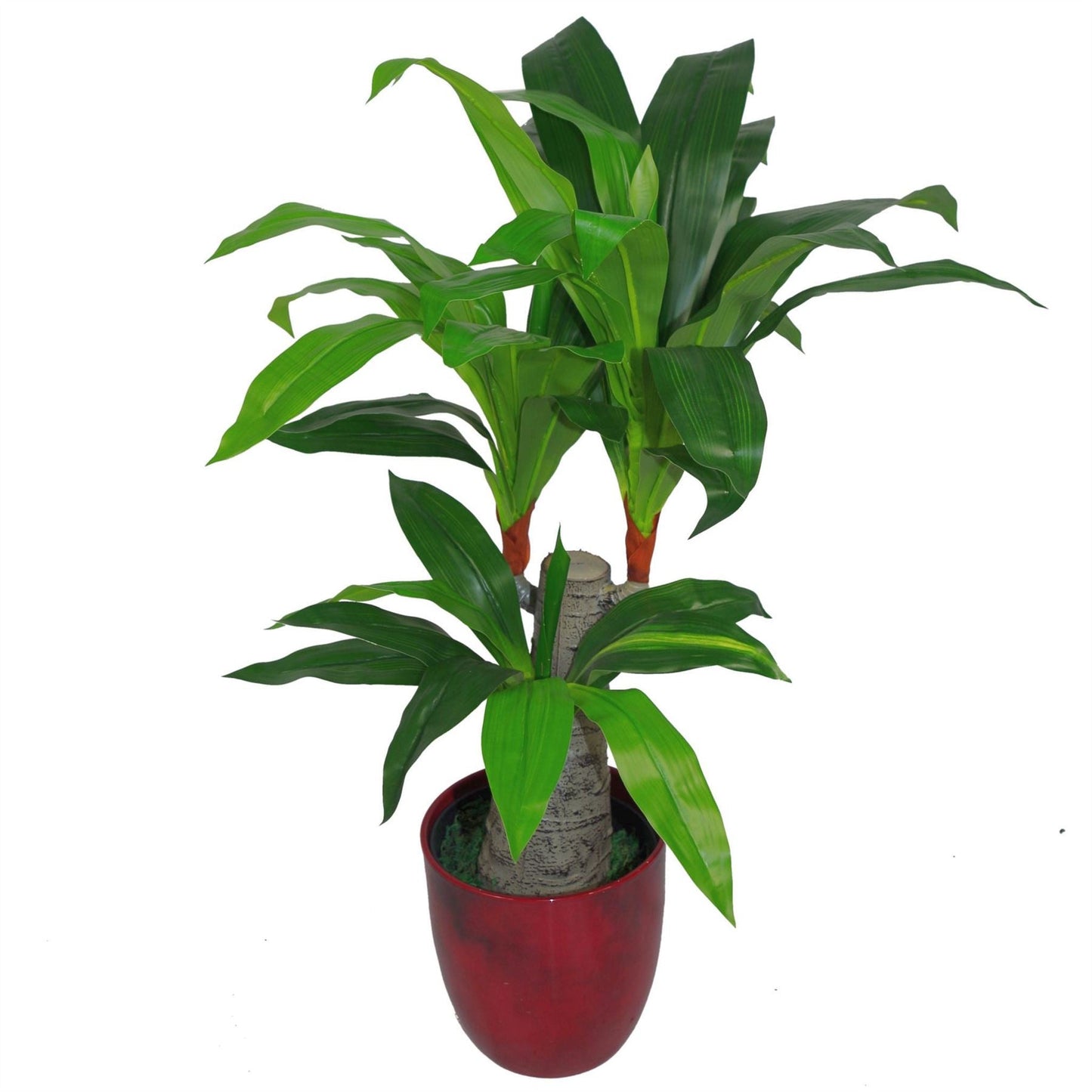 Tropical Artificial Plants Spiky Dracaena 75cm House Plant-0