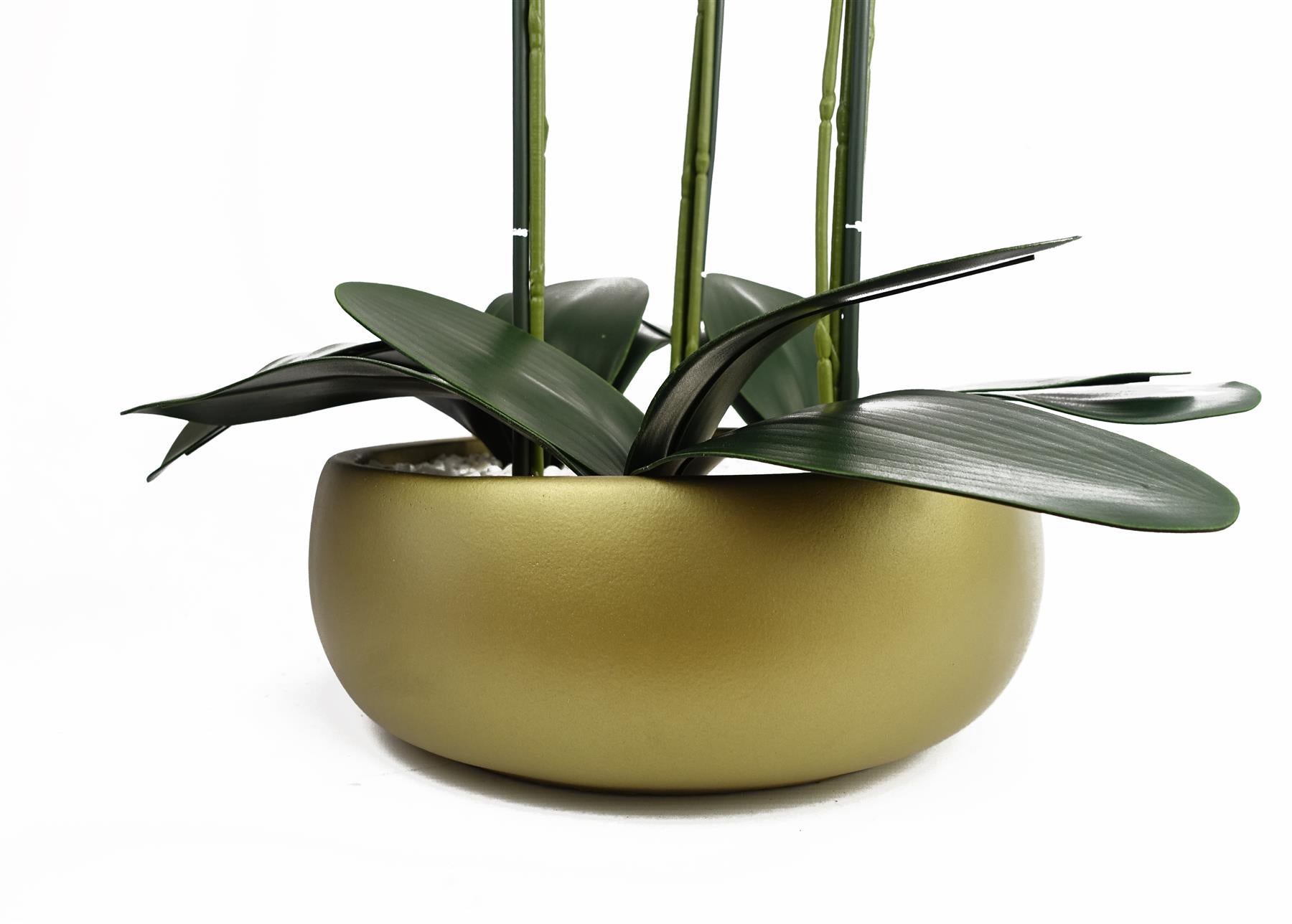 Orchid Black - White Ceramic Planter-1