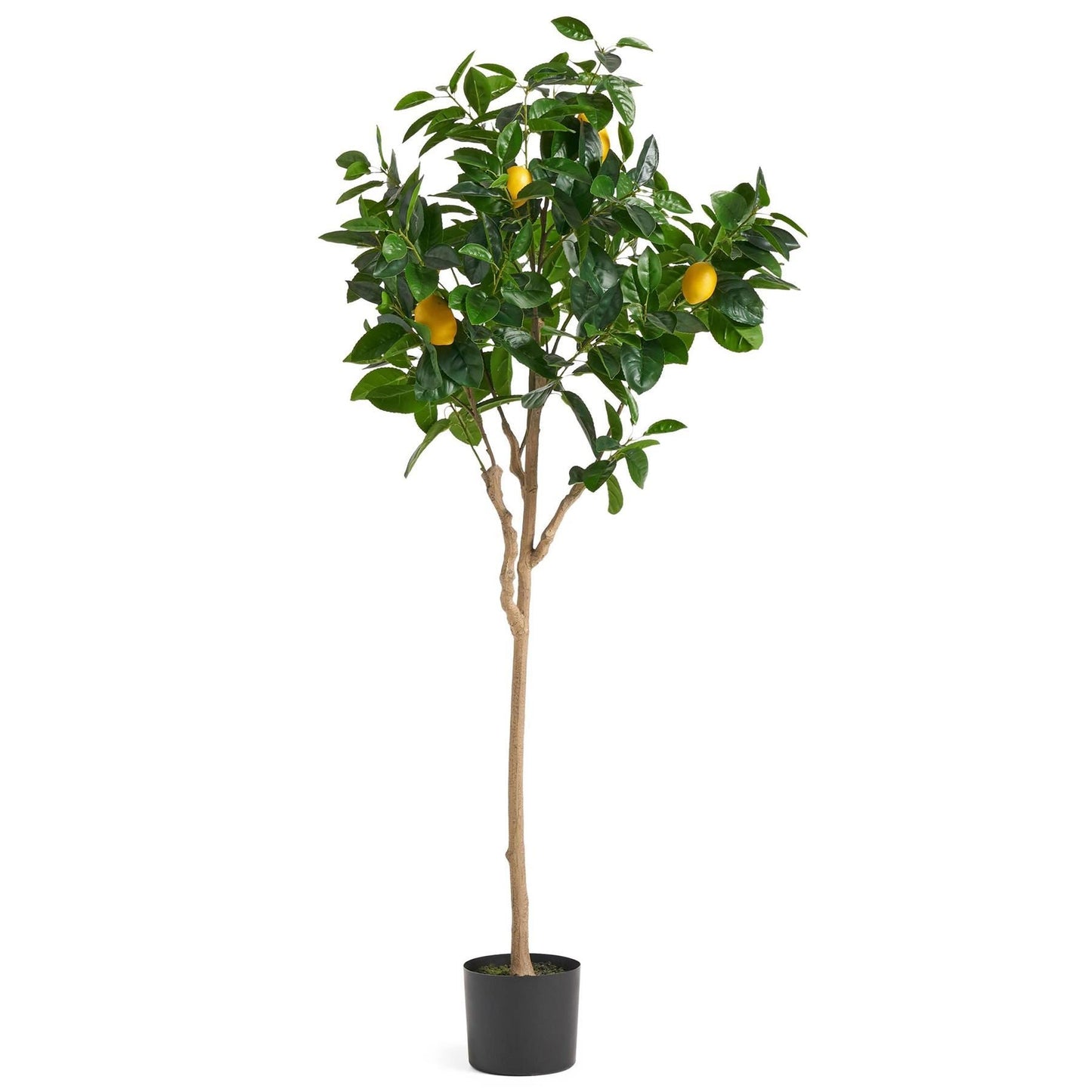 Large Lemon Tree  Artificial  150cm Premium Plant-0