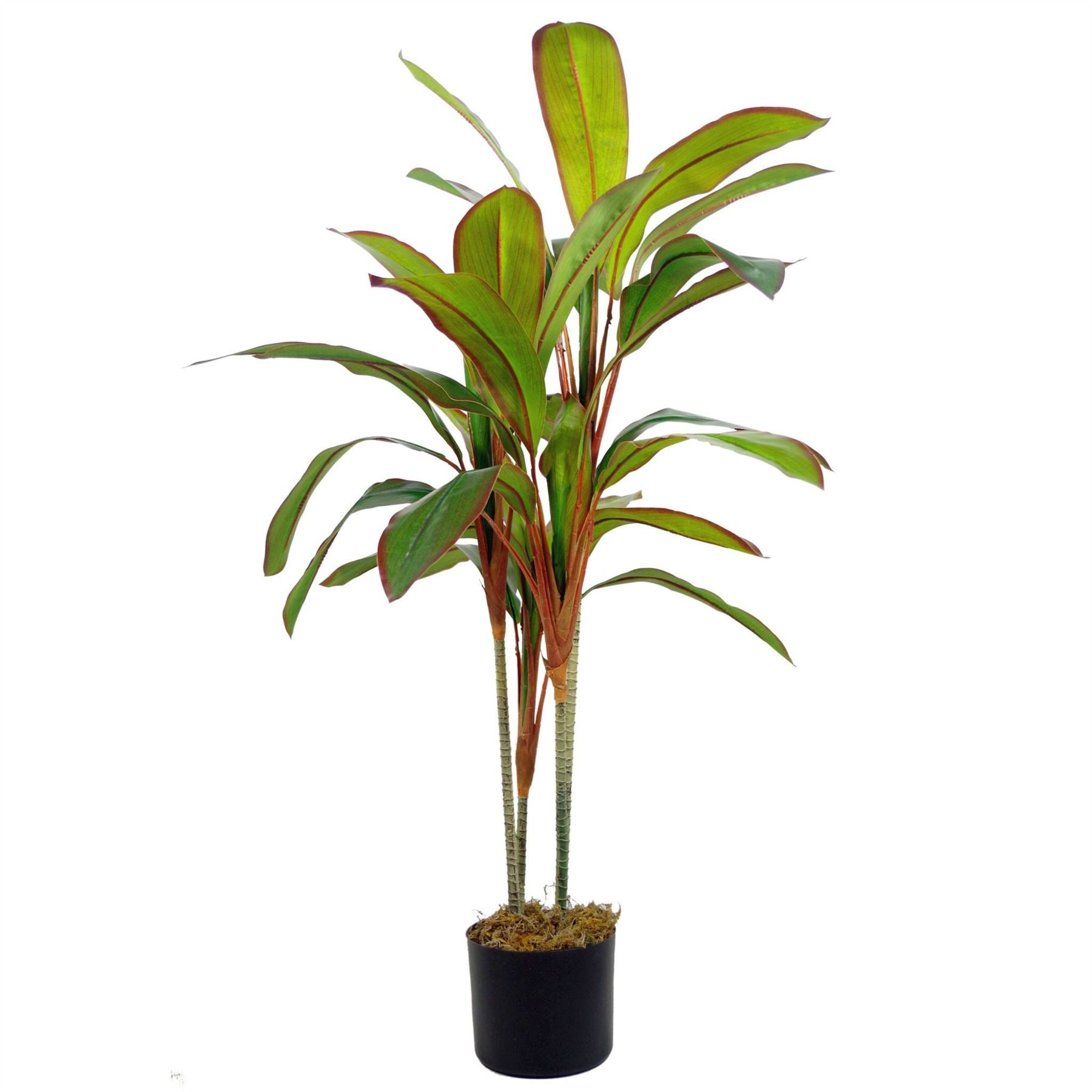 Tropical Artificial Dracaebna Plant 100cm Dracaena Realistic Faux House Plants-0