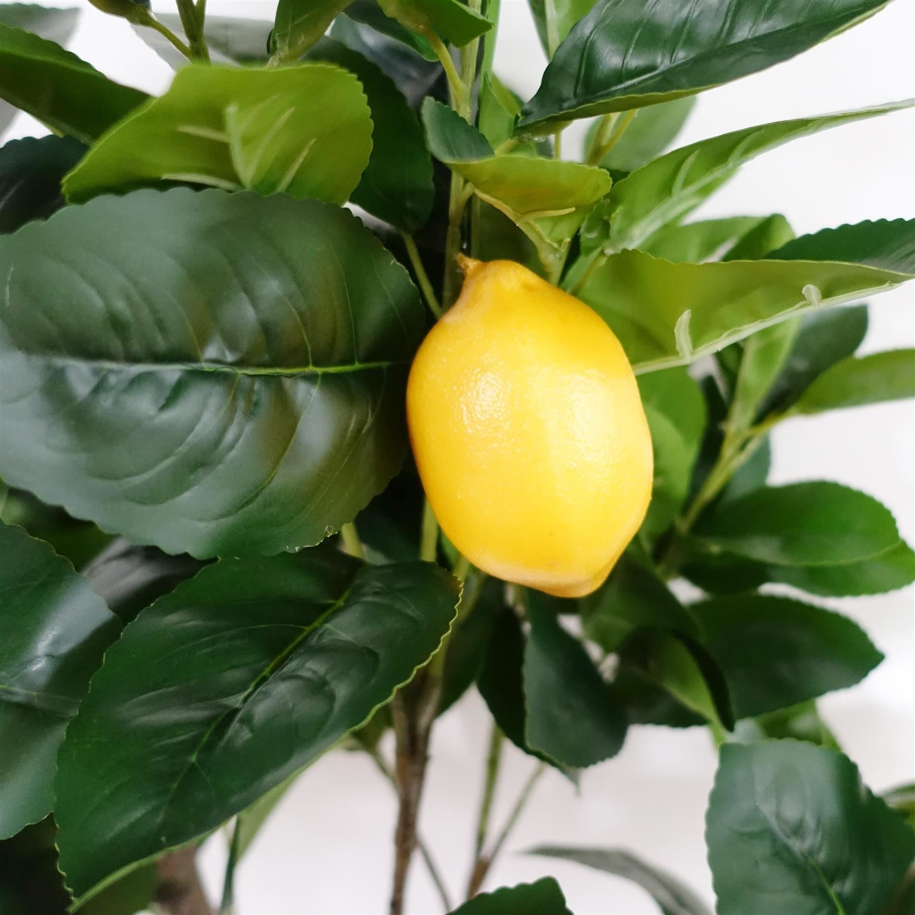 Large Lemon Tree  Artificial  150cm Premium Plant-4
