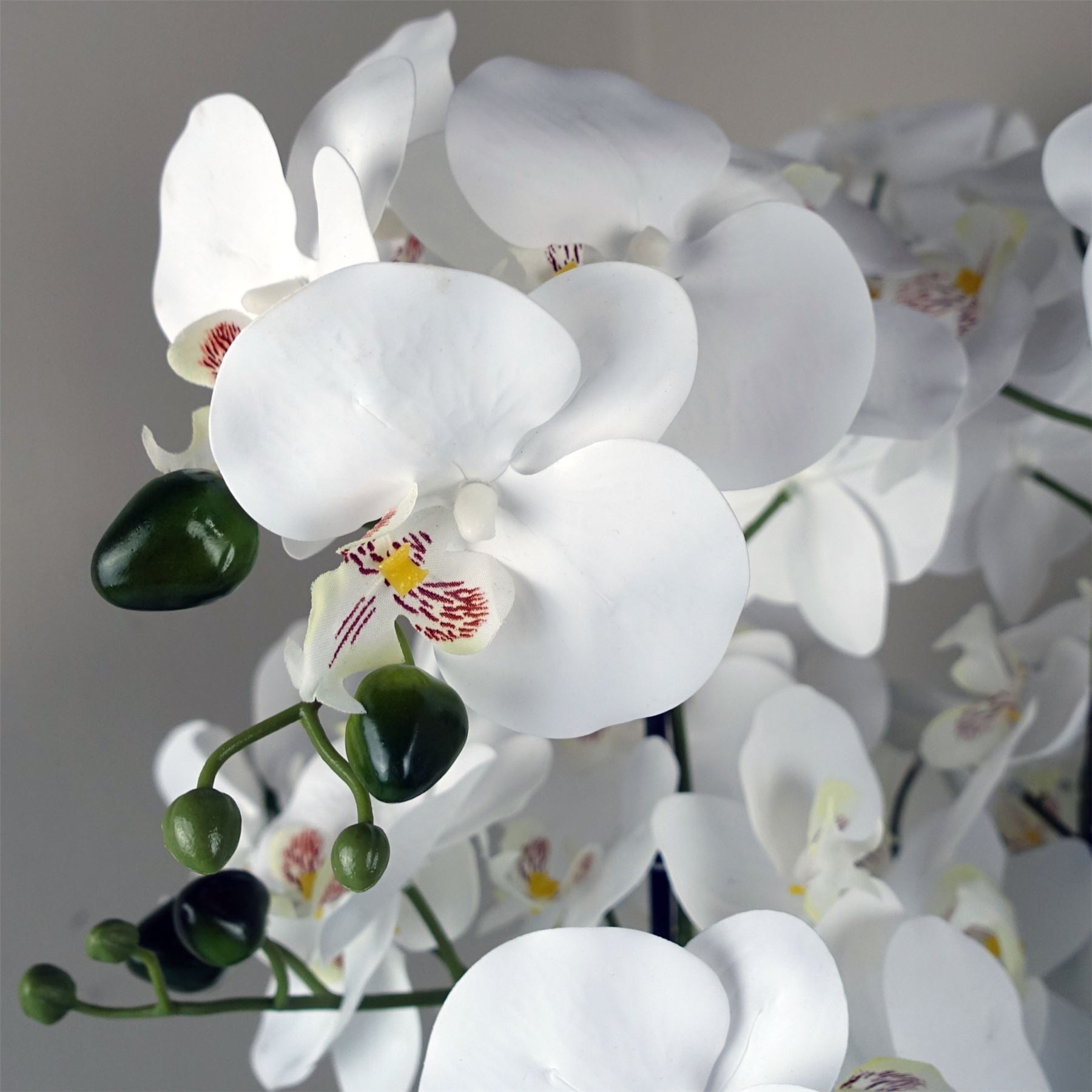 Orchid White - Black Ceramic Planter-3