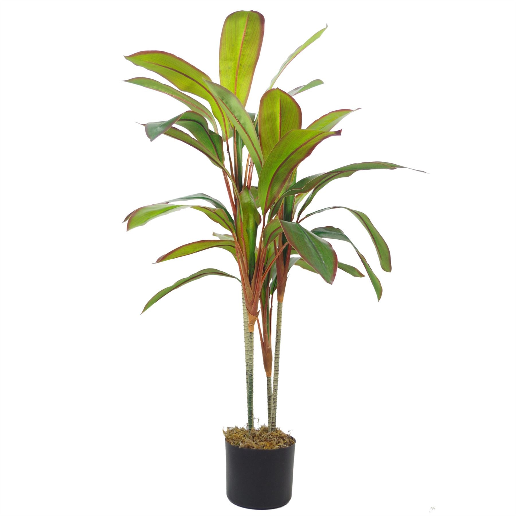 Tropical Artificial Dracaebna Plant 100cm Dracaena Realistic Faux House Plants-2