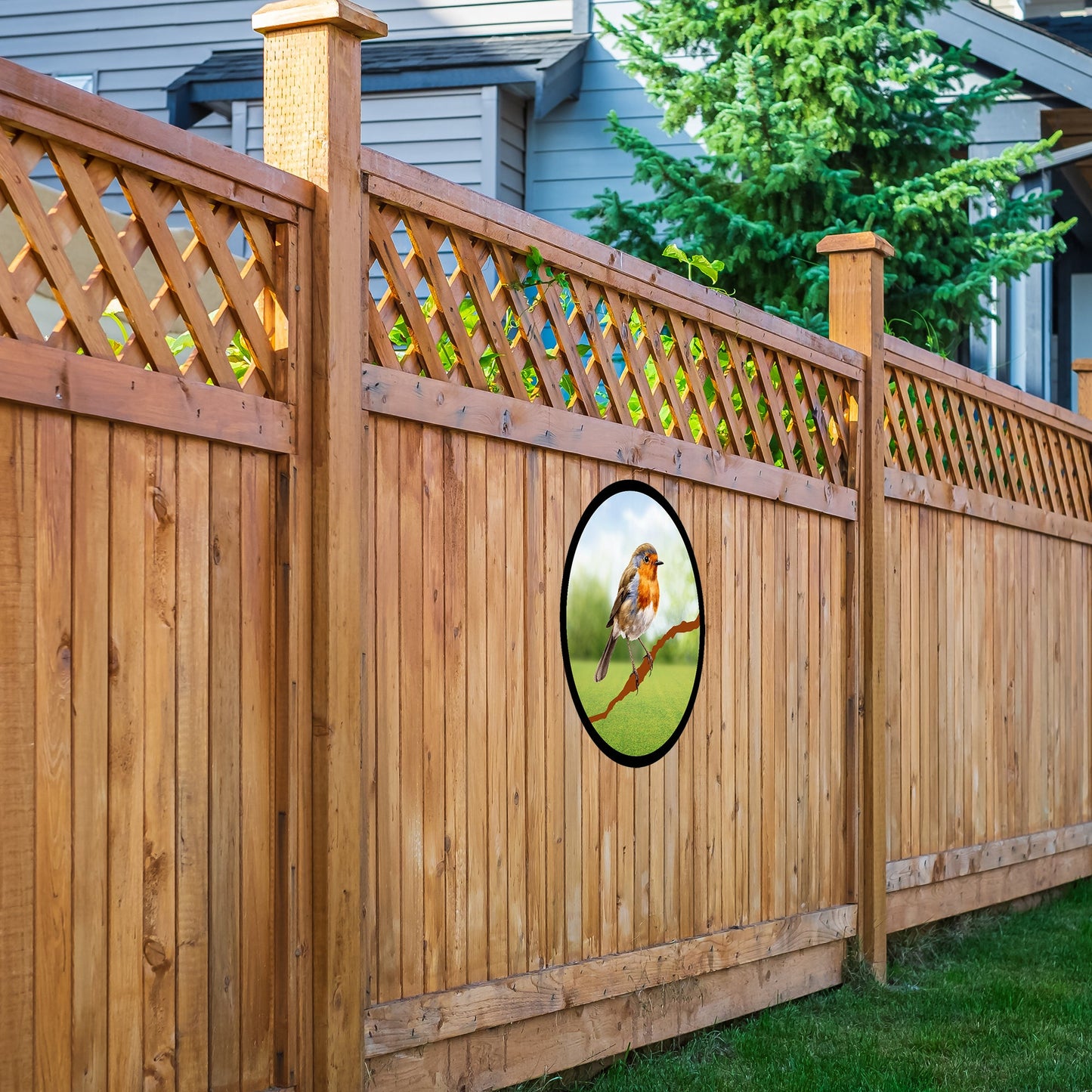 SunCatcher Garden Mirror Robin-2