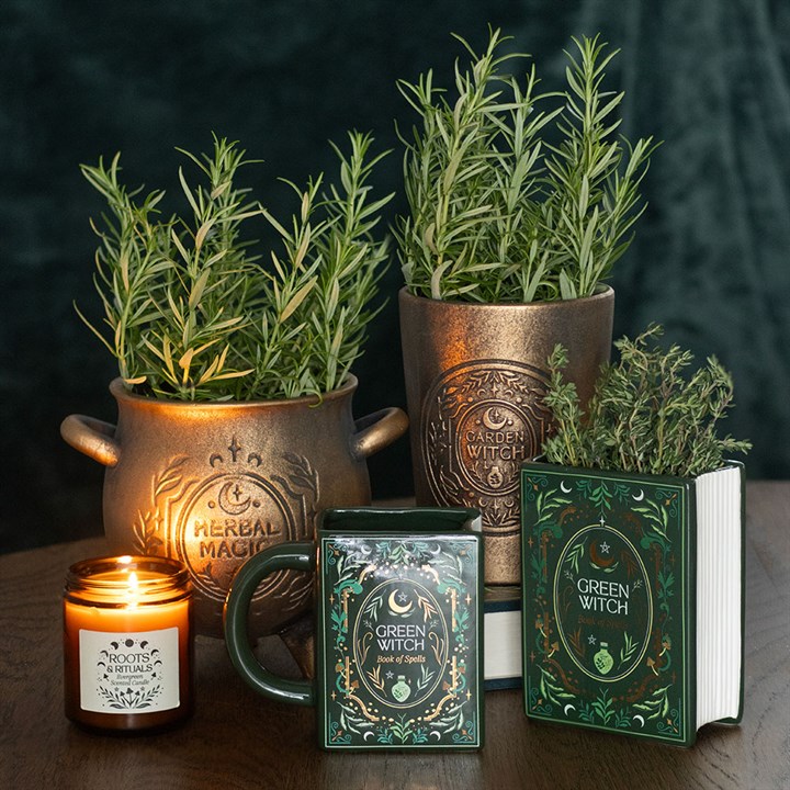 Decorative items including potted plants, a mug, and a candle on a wooden surface with a dark background.