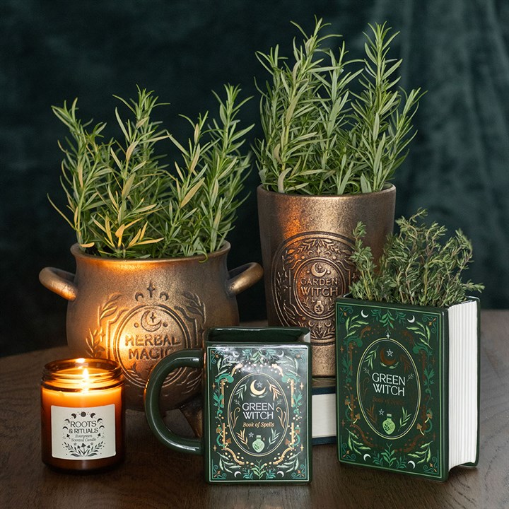 Decorative setting with plants, candles, and books on a wooden surface.