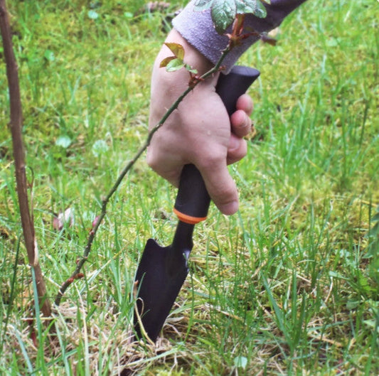 Narrow Spade DE LUXE-0