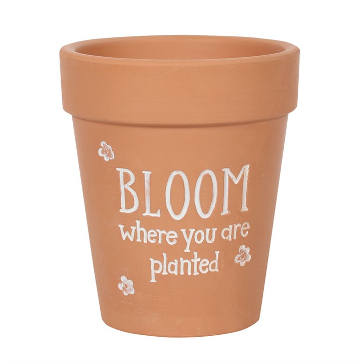 Terracotta pot with 'Bloom where you are planted' text on a white background
