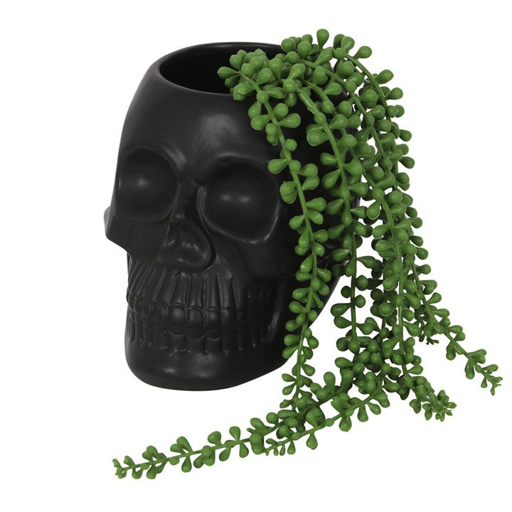 Black skull-shaped planter with a green hanging plant on a white background