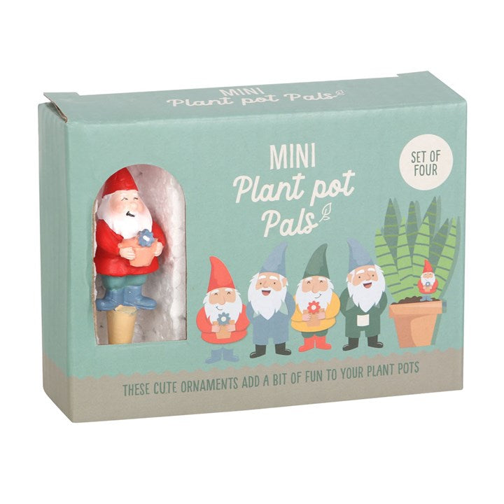 Box of Mini Plant Pot Pals with cartoon gnomes and plants on a light blue background