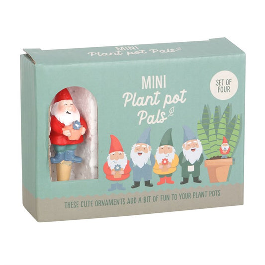Box of Mini Plant Pot Pals with cartoon gnomes and plants on a light blue background