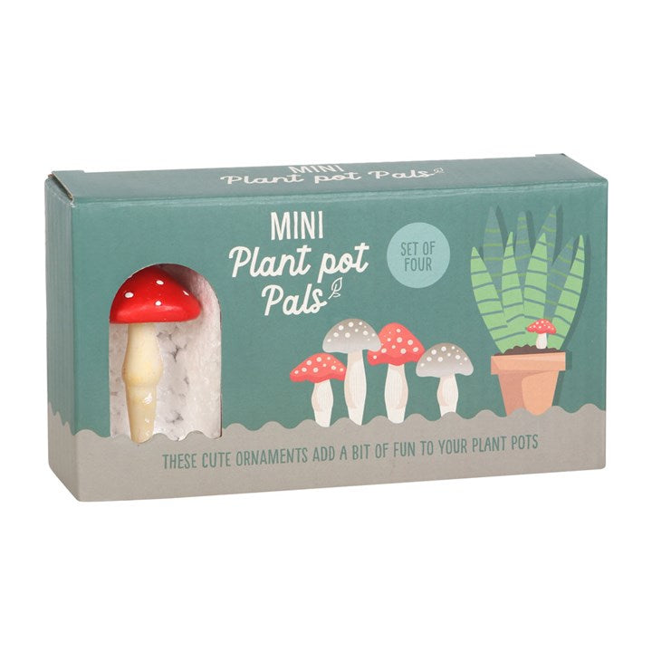 Box of Mini Plant Pot Pals with illustrations on a white background