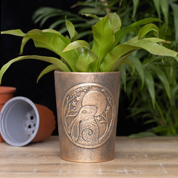 Bronze planter with a decorative design on a wooden surface with plants in the background