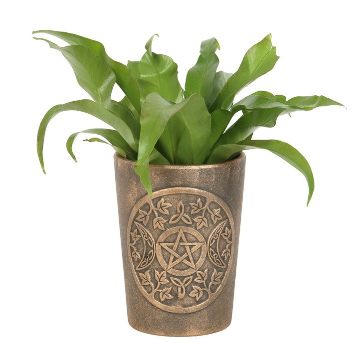 Bronze pot with pentacle design containing a green plant on a white background