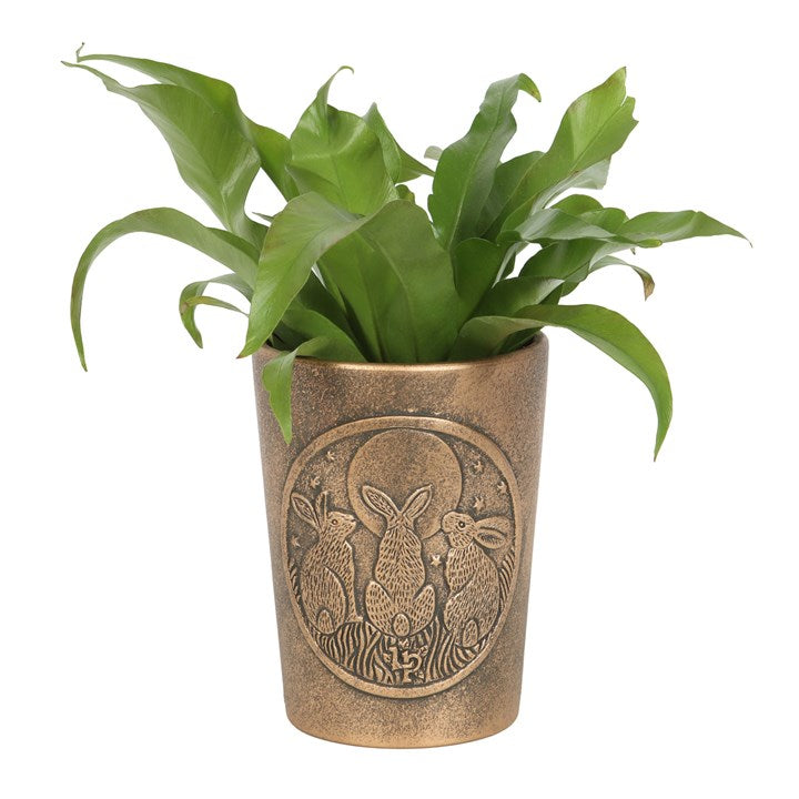 Bronze pot with rabbit design containing a green plant on a white background