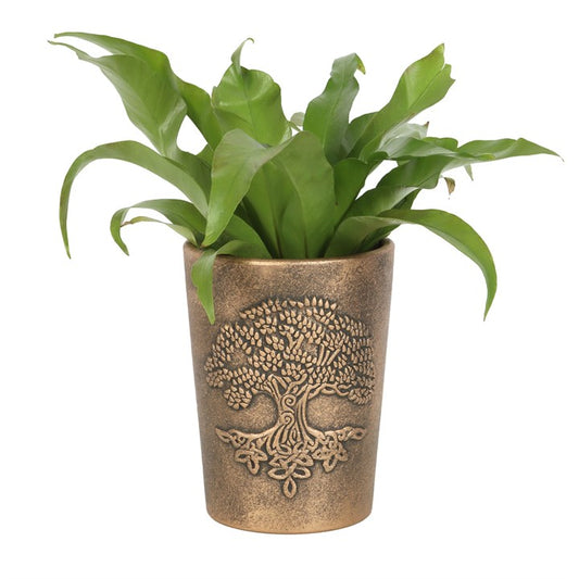 Bronze tree-patterned planter with a green plant on a white background