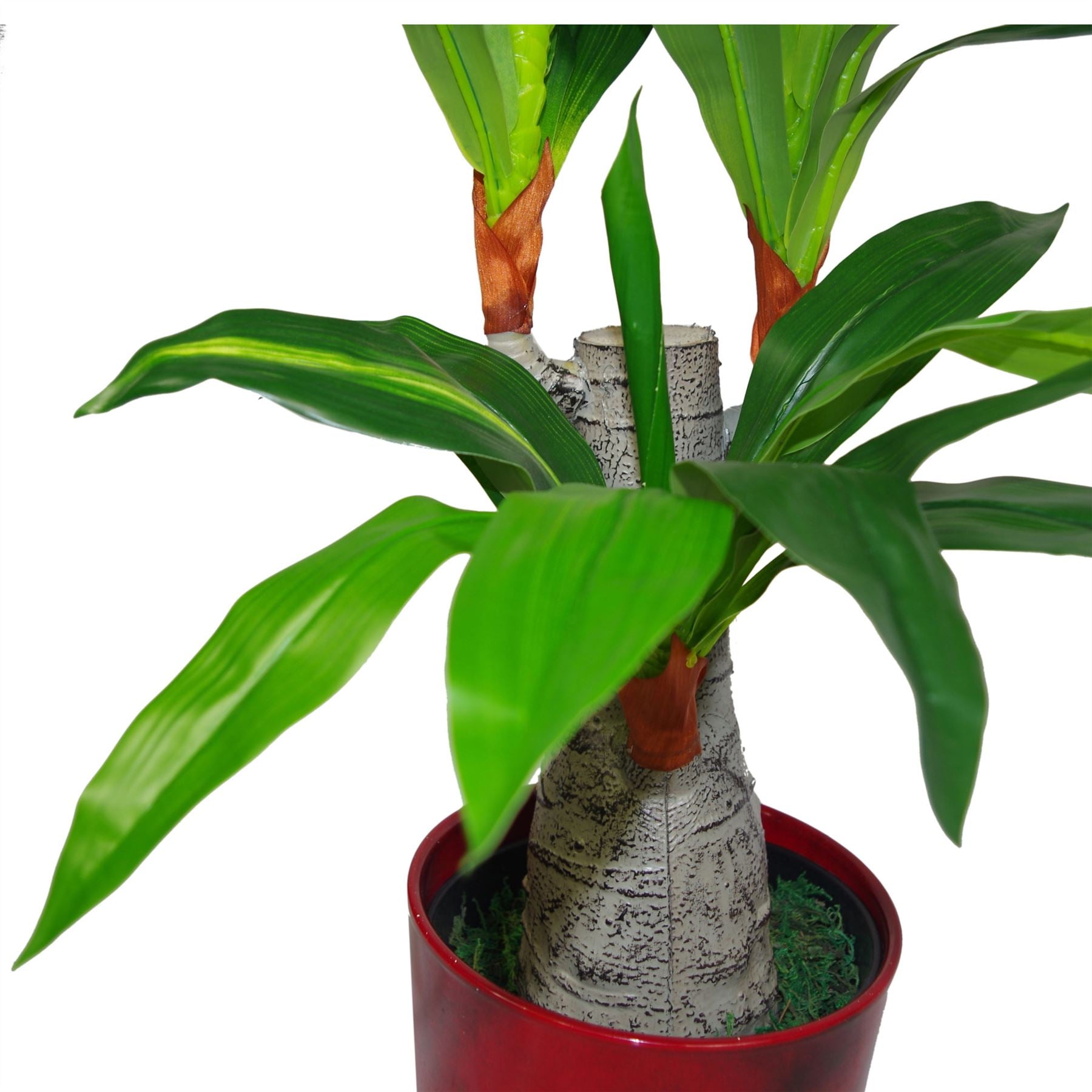 Tropical Artificial Plants Spiky Dracaena 75cm House Plant-2