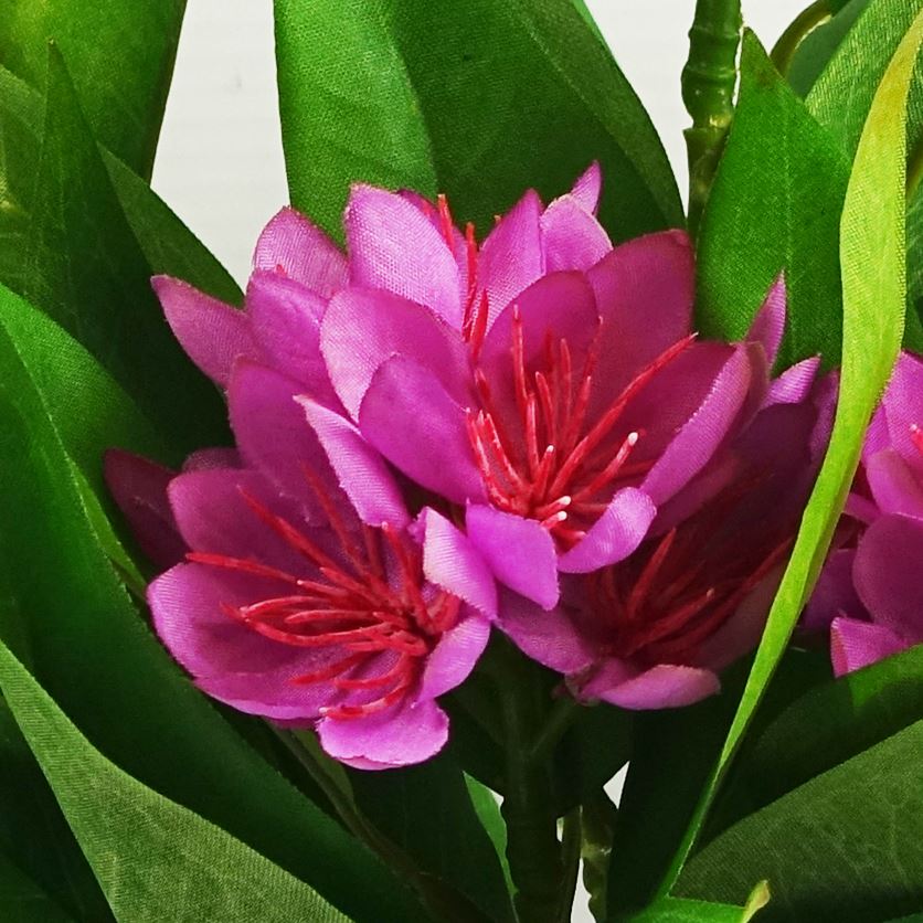 Leaf Design 3x 18cm Artificial Freesia Plants Pink, Orange, Yellow Flowering-2