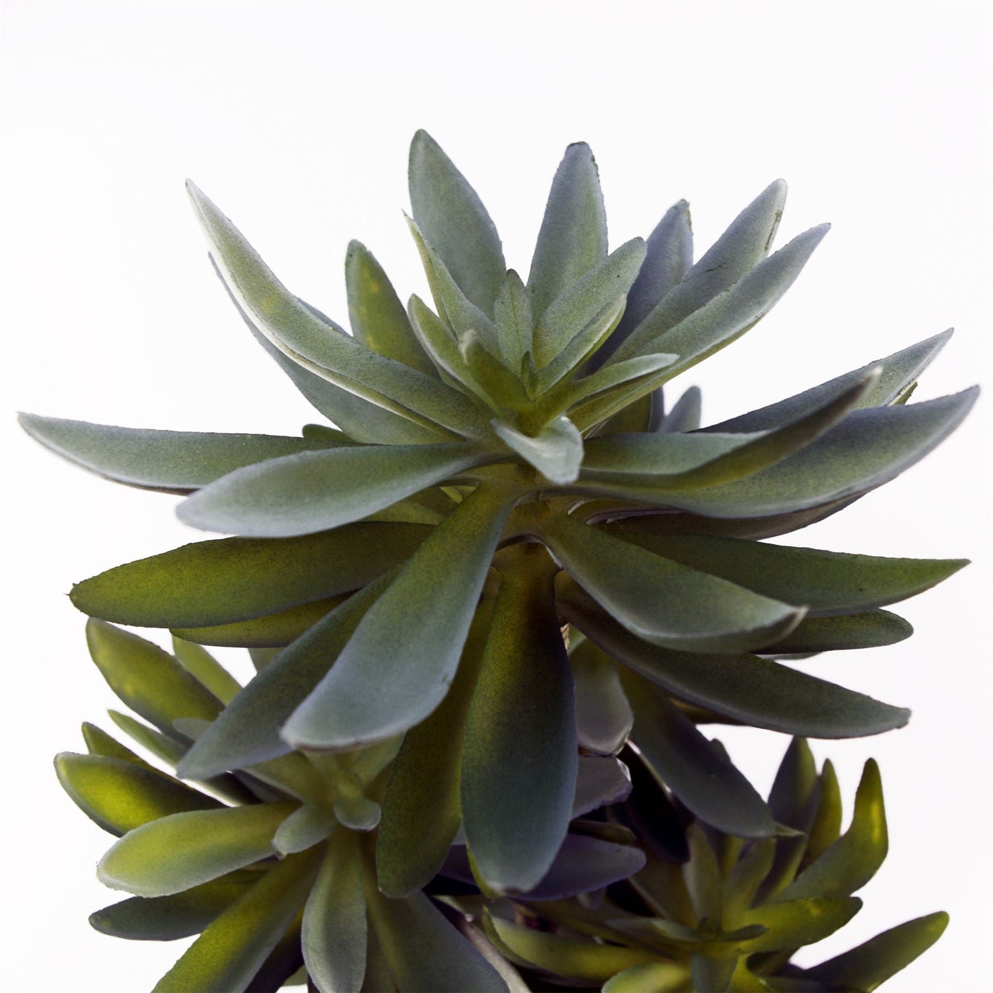 Large Artificial Tropical Yukka in Planter-1