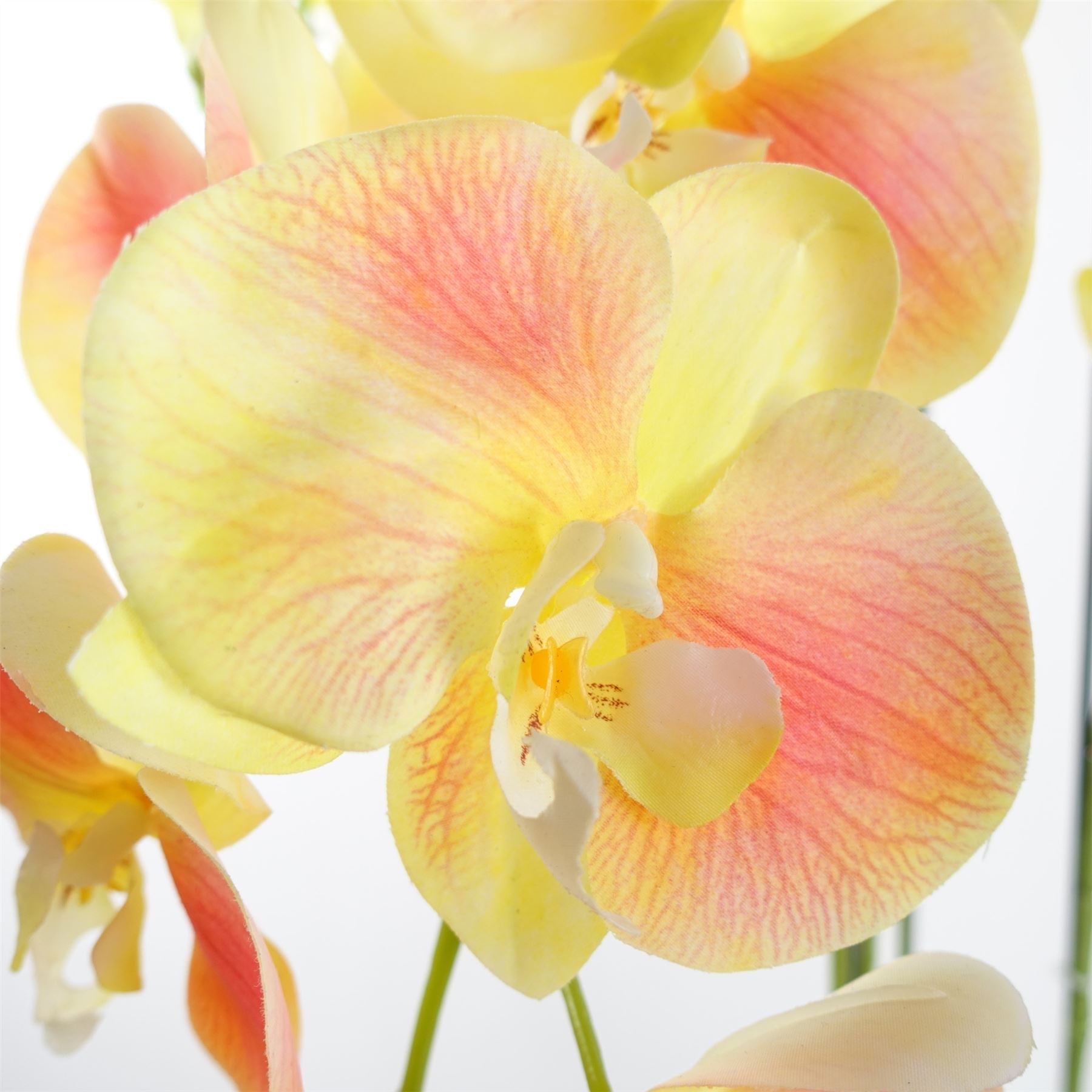 Large Yellow Peach Orchid Plant - Artifcial - 41 REAL TOUCH flowers-2