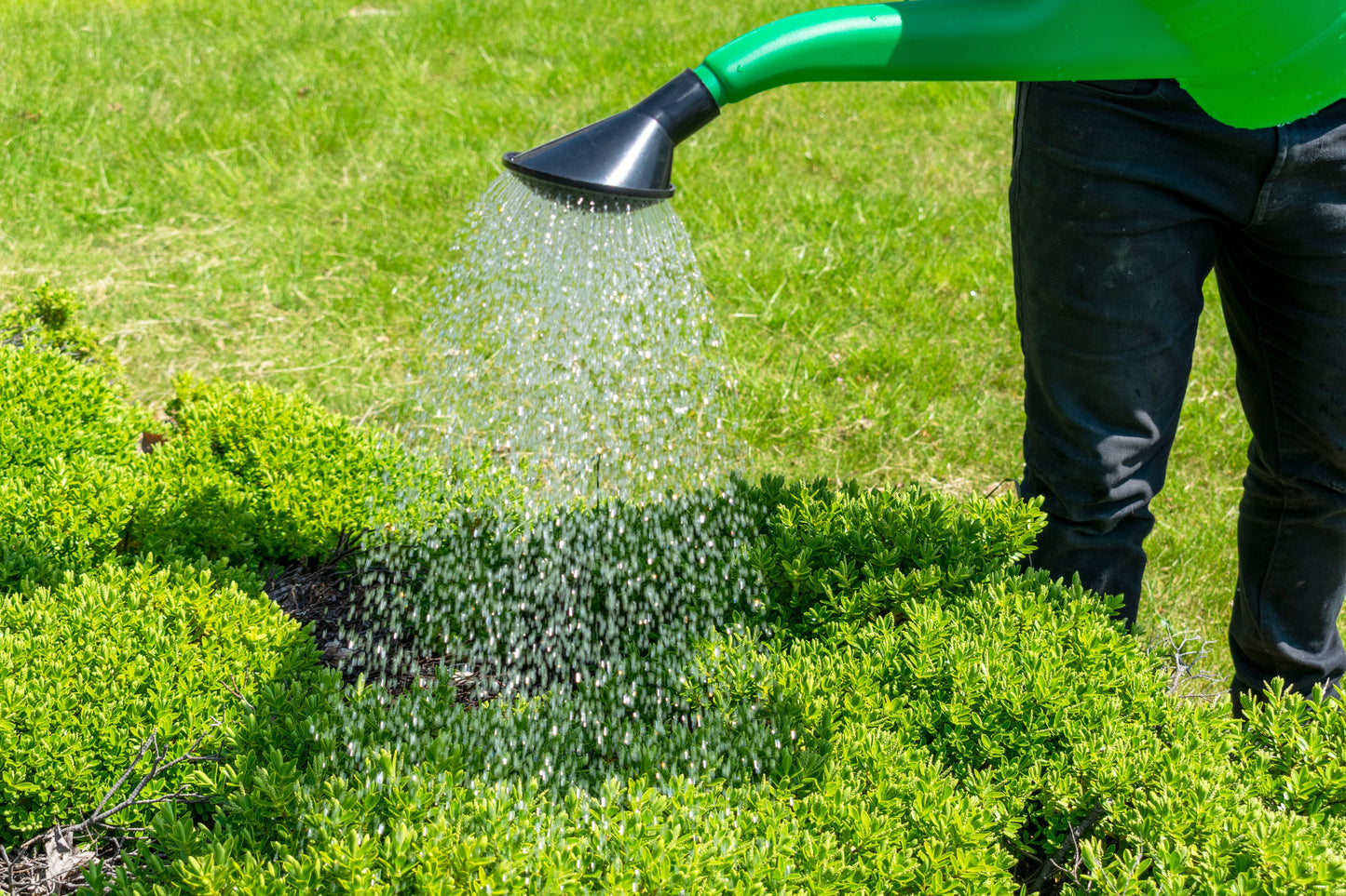Garden Watering Can 10 Litres-2