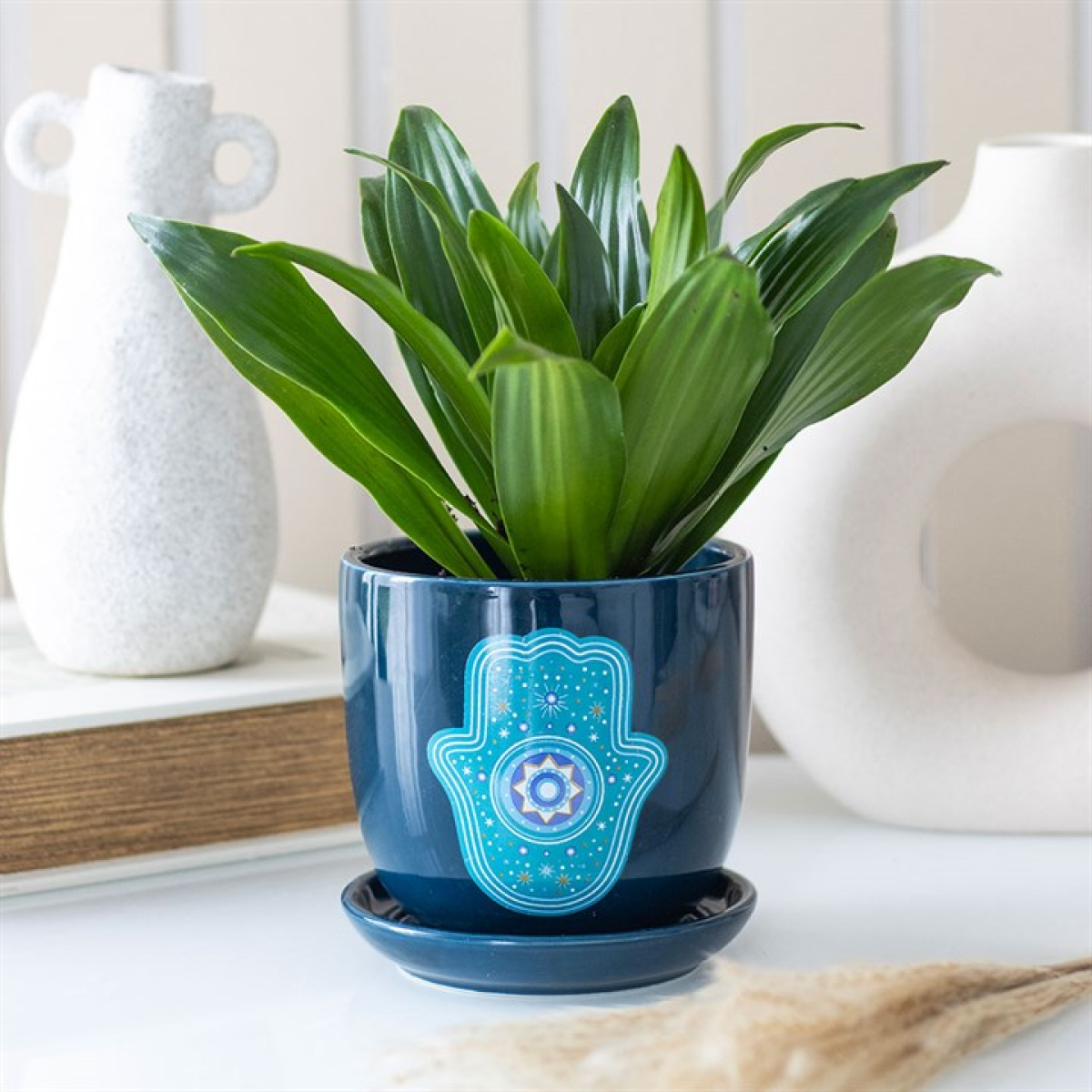 Green potted plant in a blue pot with Hamsa design on a white surface
