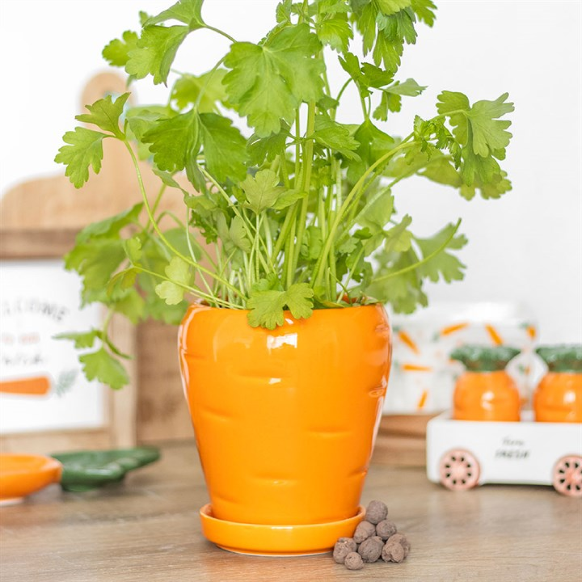 Carrot-shaped pot with green plant on a wooden surface