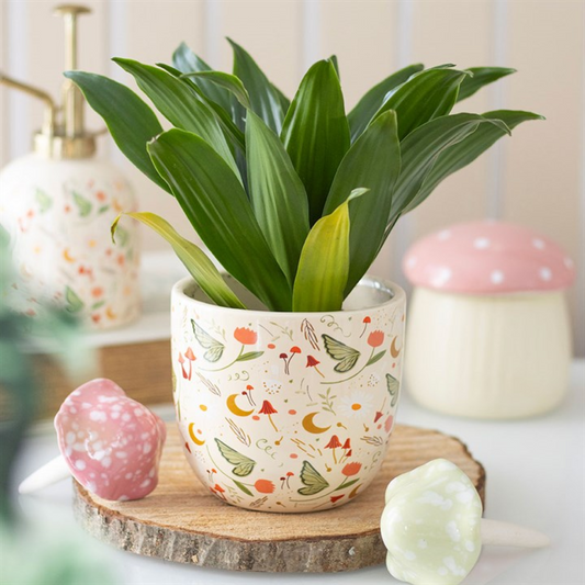Decorative pot with a plant on a wooden coaster, surrounded by small decorative items.