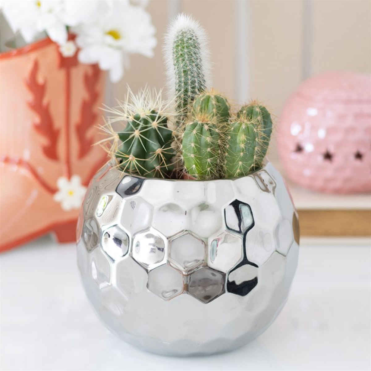Silver disco ball shaped vase on a table with cacti in