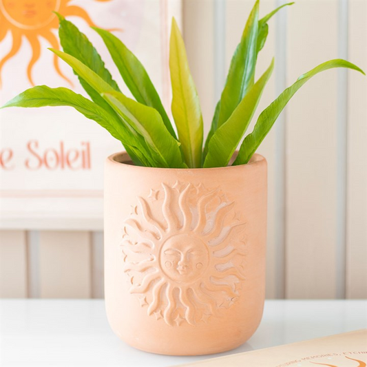 Ceramic pot with sun design containing a green plant on a white surface.