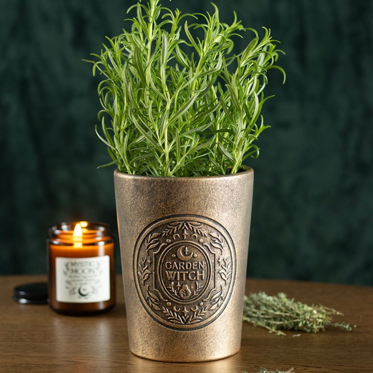 Potted plant in a bronze pot with 'Garden Witch' branding, next to a lit candle on a wooden surface.